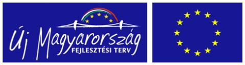 A 2010-es évi beruházásunk és finanszírozása